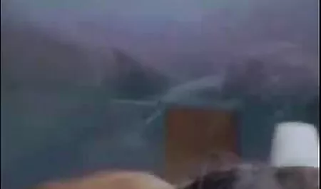 Amatorsha Pferd auf  ...